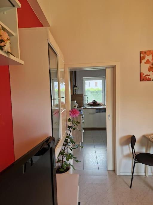 Ferienwohnung Bayernbrise Rohrdorf  Εξωτερικό φωτογραφία